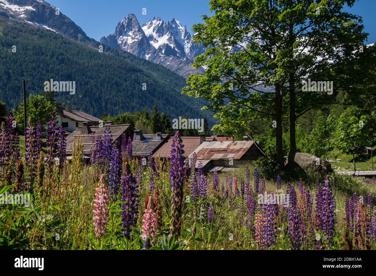 Chamonix,trelechamp,haute savoie,France Banque D'Images