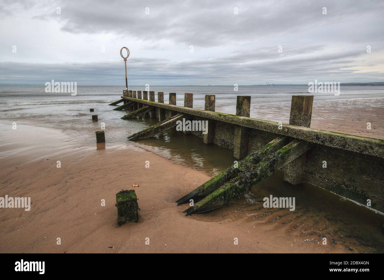 Vieux bois et pierres épi couvert de structure des algues vertes sur la plage de Portobello à marée basse avec mer du Nord dans le contexte tourné sur l'image. L'EDI Banque D'Images