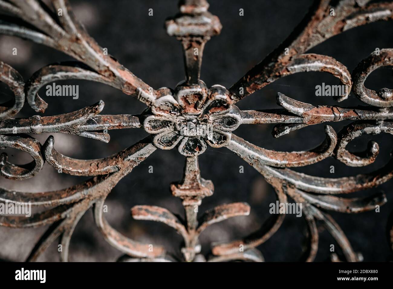 Ancienne grille métallique rouillée avec fleurs et arabesques. Photo de haute qualité Banque D'Images