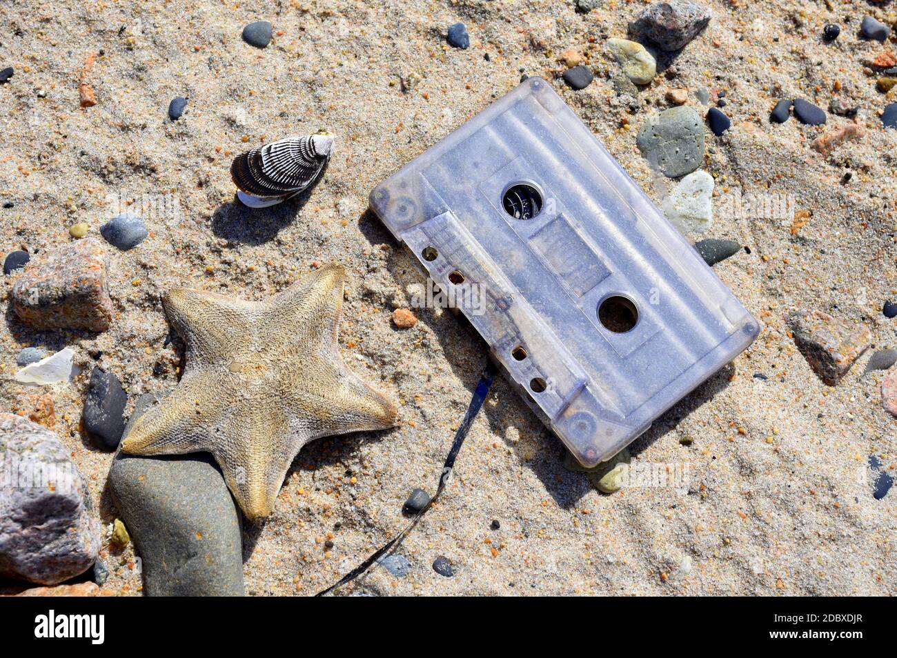Cassette rétro lavée par la mer à côté de l'étoile de mer, de la coquille et des pierres mortes sur le sable de la mer japonaise. Tempête après. Pollution de l'environnement Banque D'Images