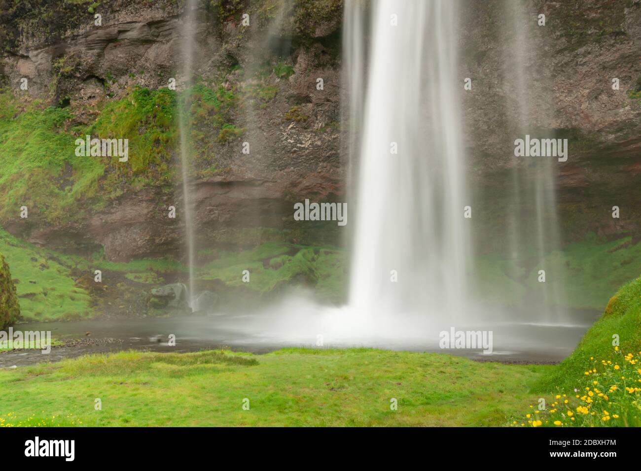 Chute d'eau Seljalandsfoss, côte sud de l'Islande Banque D'Images