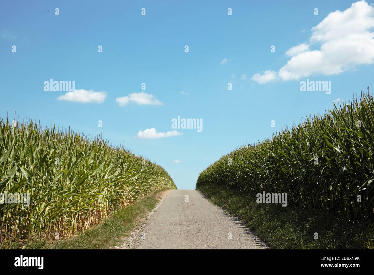 Road to nowhere Banque D'Images