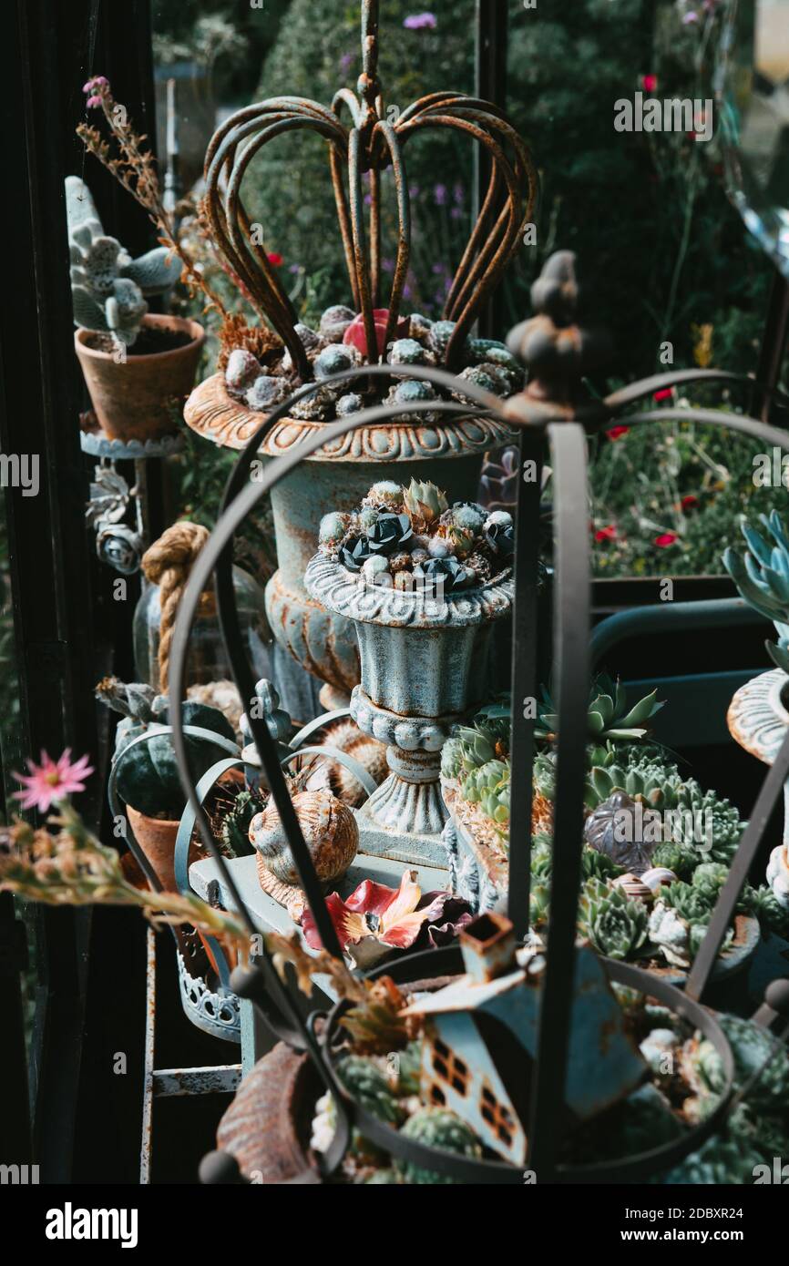 Objets décoratifs et plantes dans une véranda . Photo de haute qualité Banque D'Images