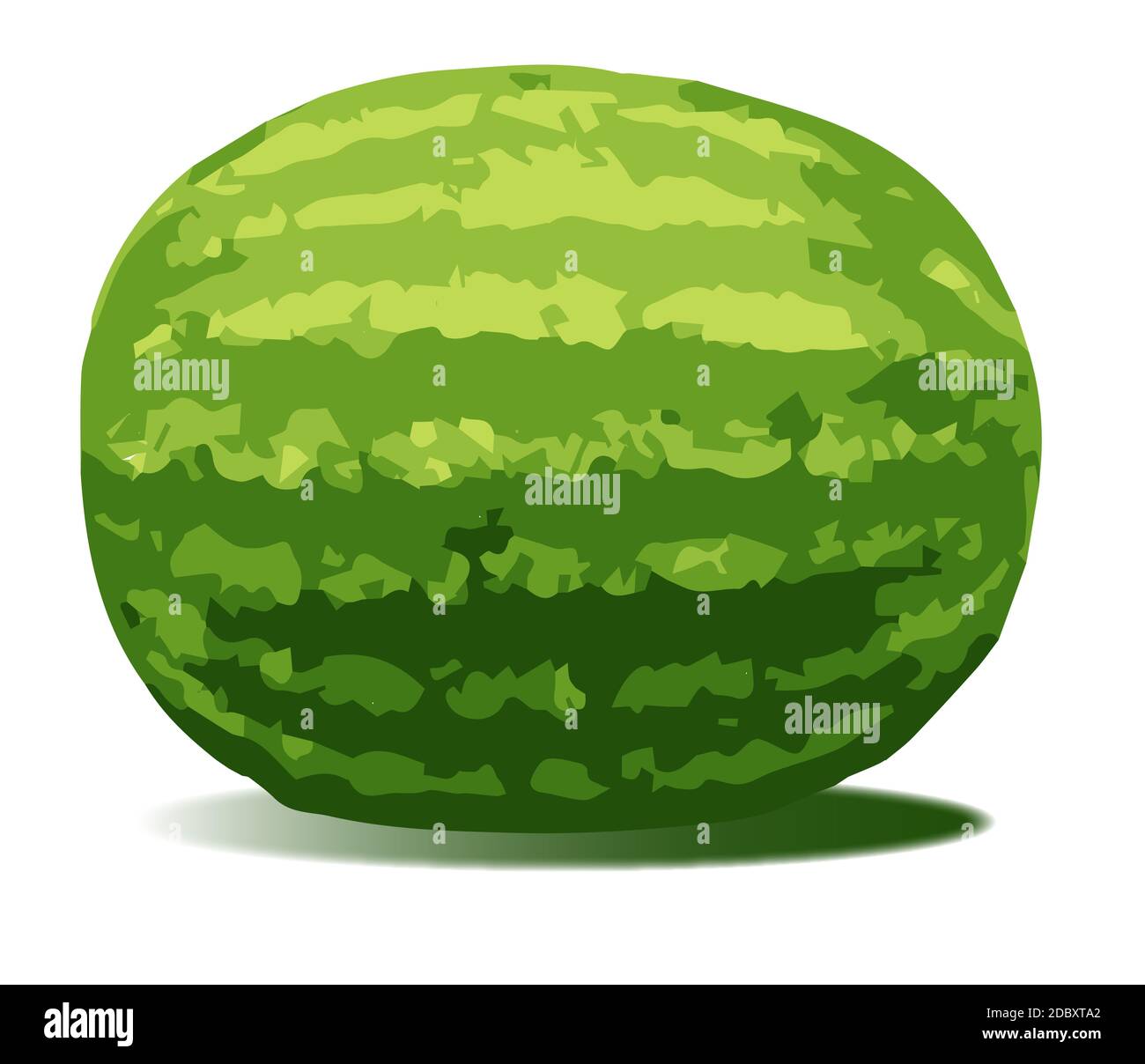 Une pastèque typique isolé sur fond blanc Banque D'Images