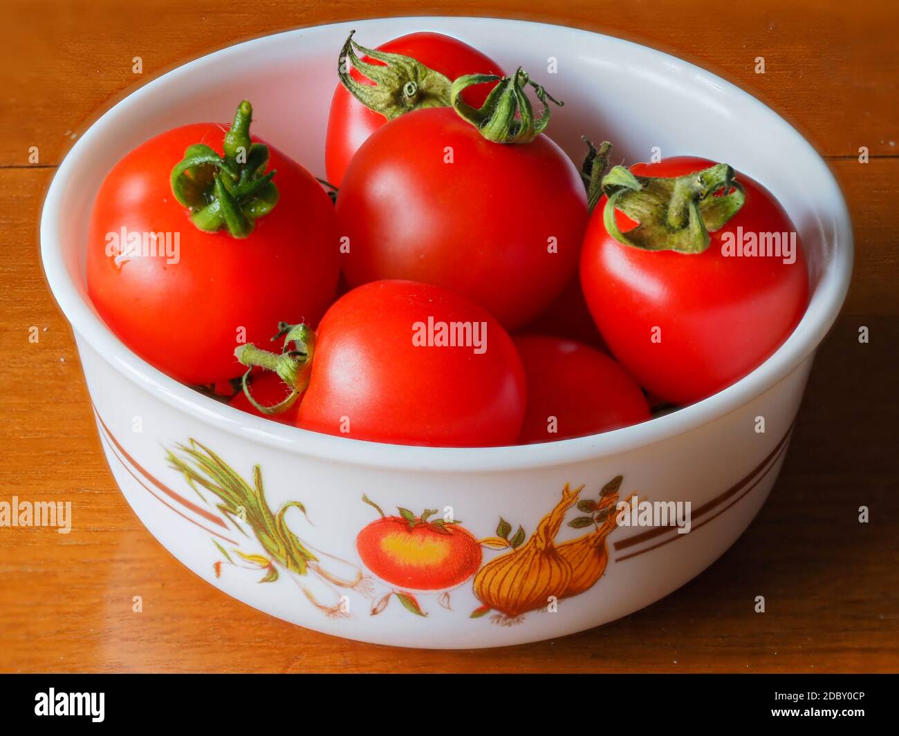 Tomates maison rouge vif fraîchement cueillies, Variety Mountain Magic, dans un petit bol Banque D'Images