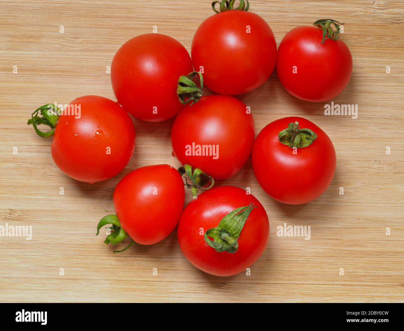 Tomates maison rouge vif fraîchement cueillies, Variety Mountain Magic, posées sur une planche de bois Banque D'Images
