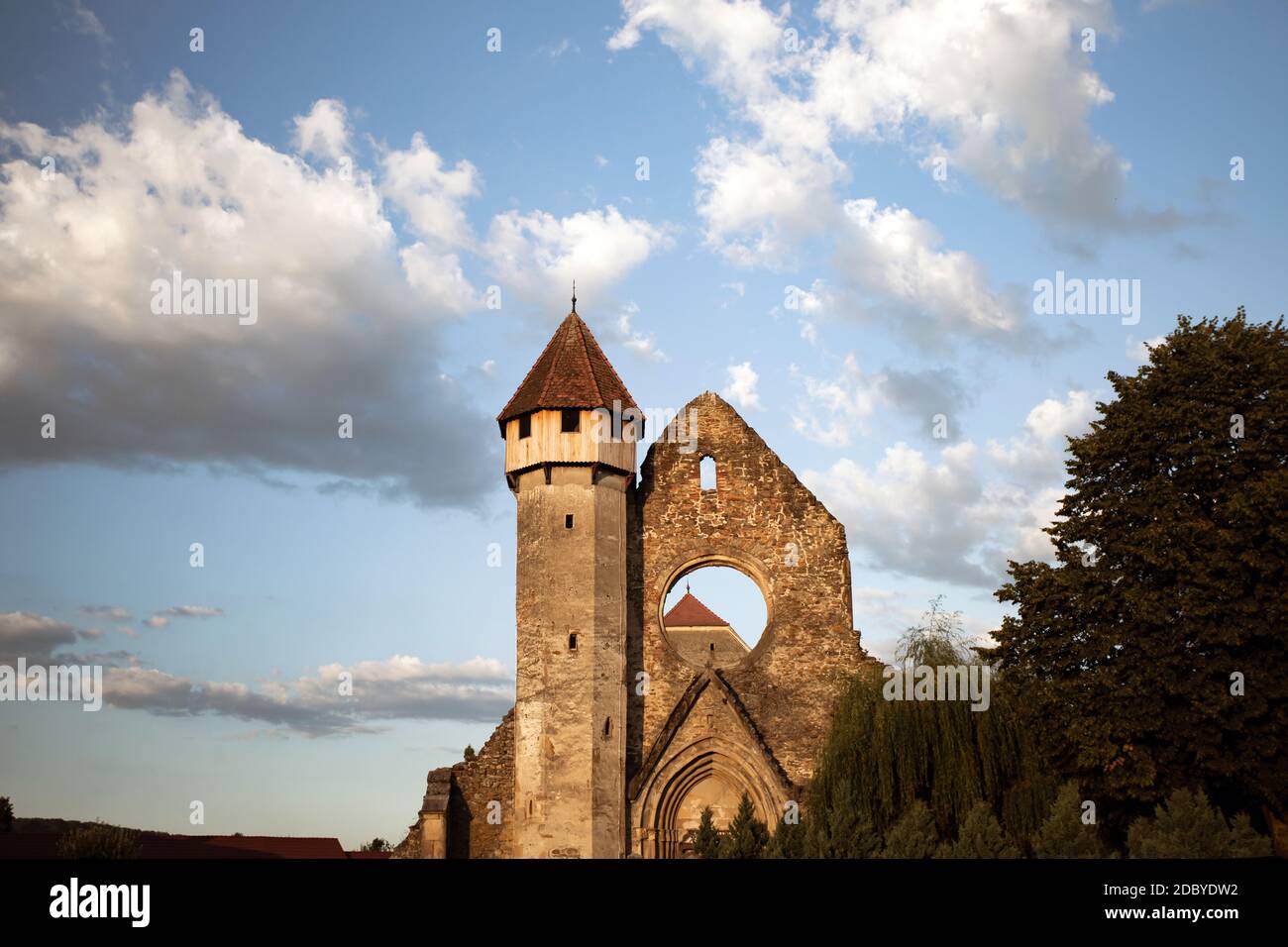 Carta - ruines de l'abbaye cistercienne médiévale du village de Carta, comté de Sibiu, Transylvanie, Roumanie Banque D'Images