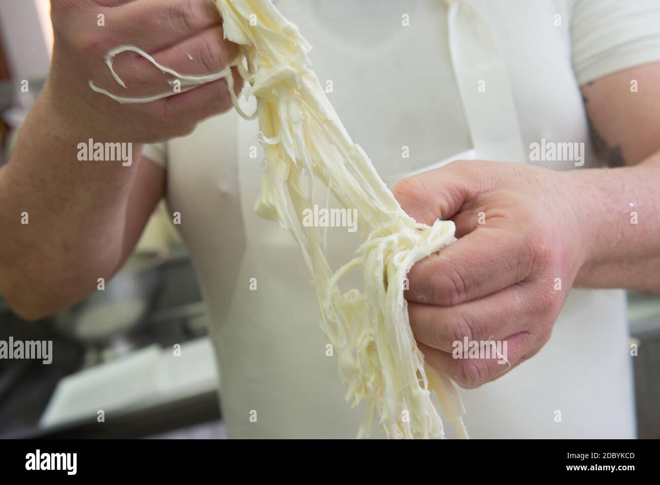 production de la mozzarella typique des pouilles appelée burrata. Banque D'Images