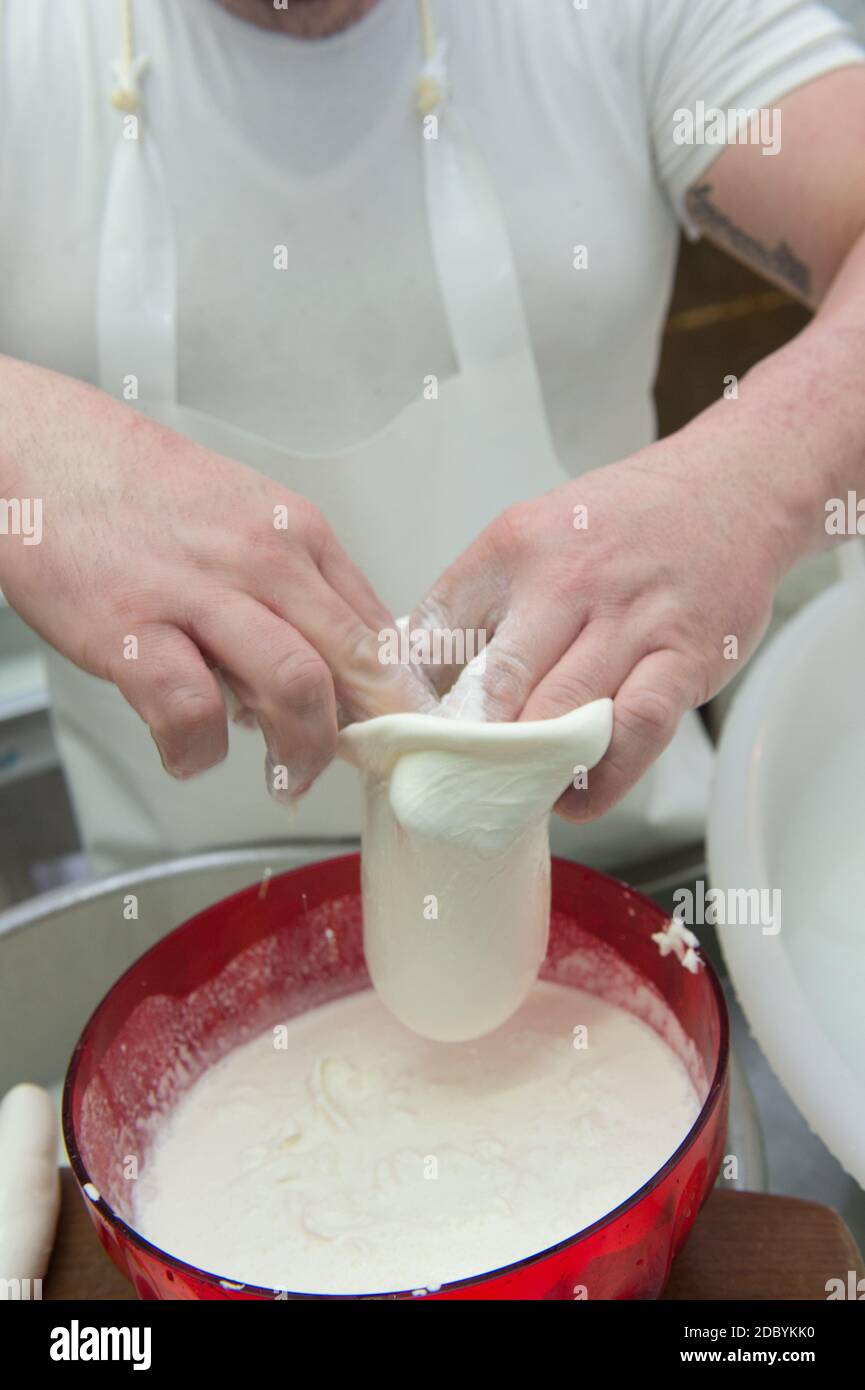 production de la mozzarella typique des pouilles appelée burrata. remplissage du burrata. Banque D'Images