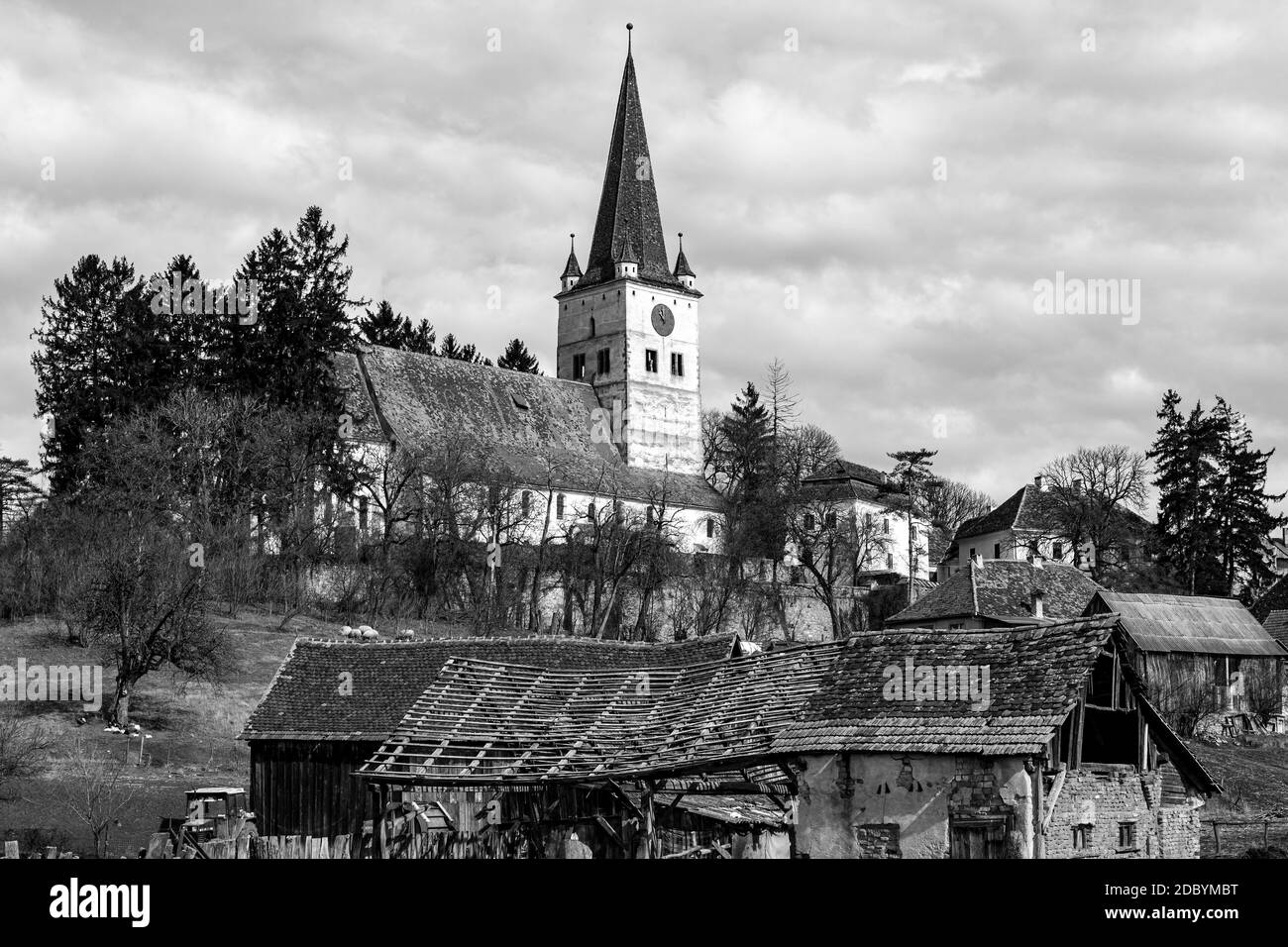 Un village typique de Roumanie Banque D'Images