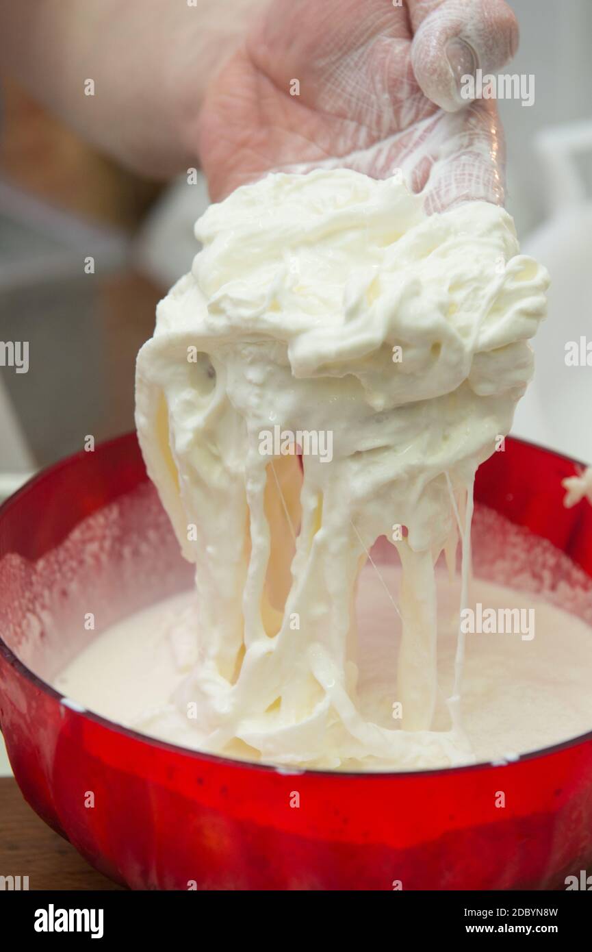 production de la mozzarella typique des pouilles appelée burrata. Banque D'Images