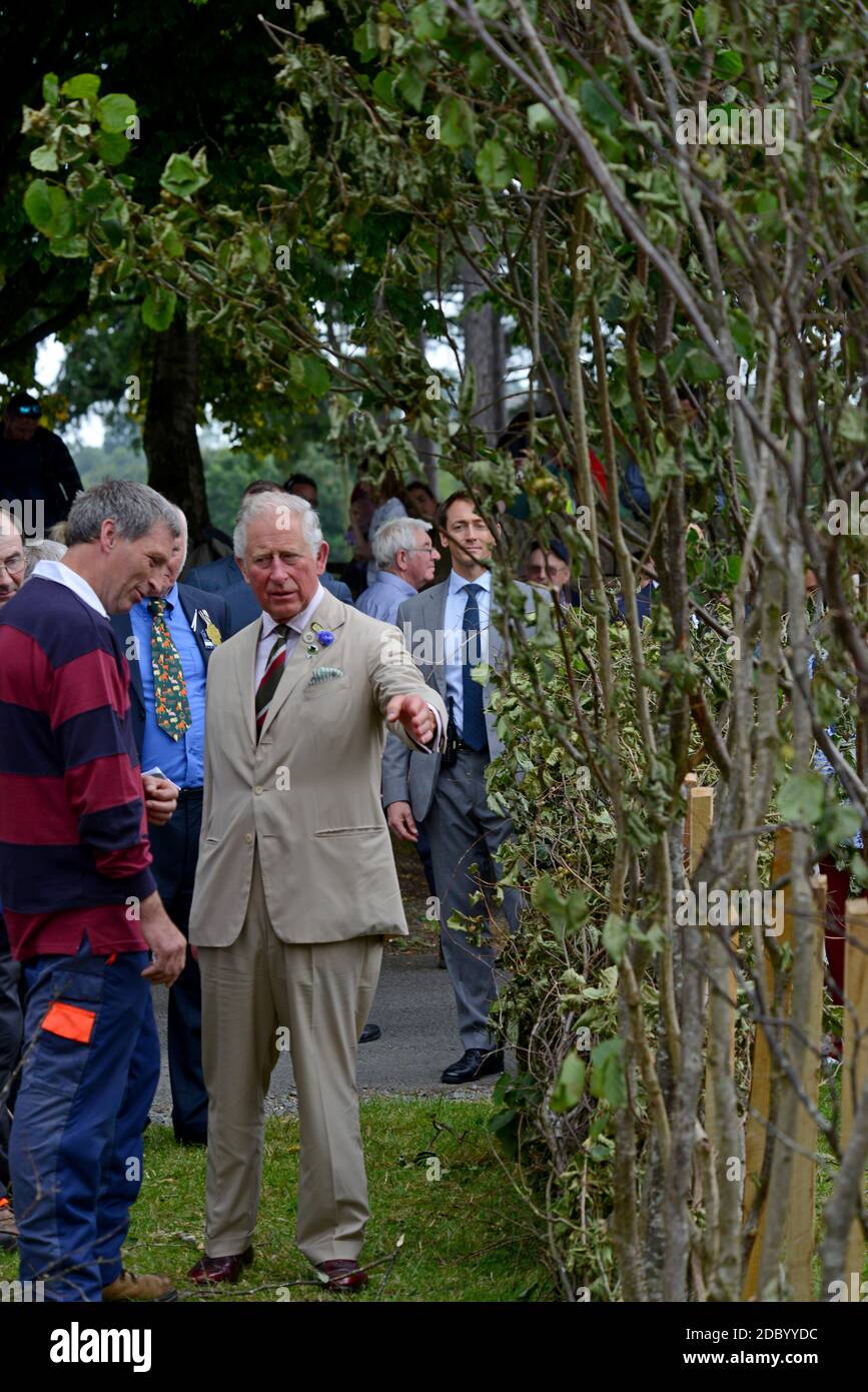 Son Altesse Royale le Prince Charles discute de la gélarisse avec des manifestants au Royal Welsh Show 2019, à Builth Wells Banque D'Images