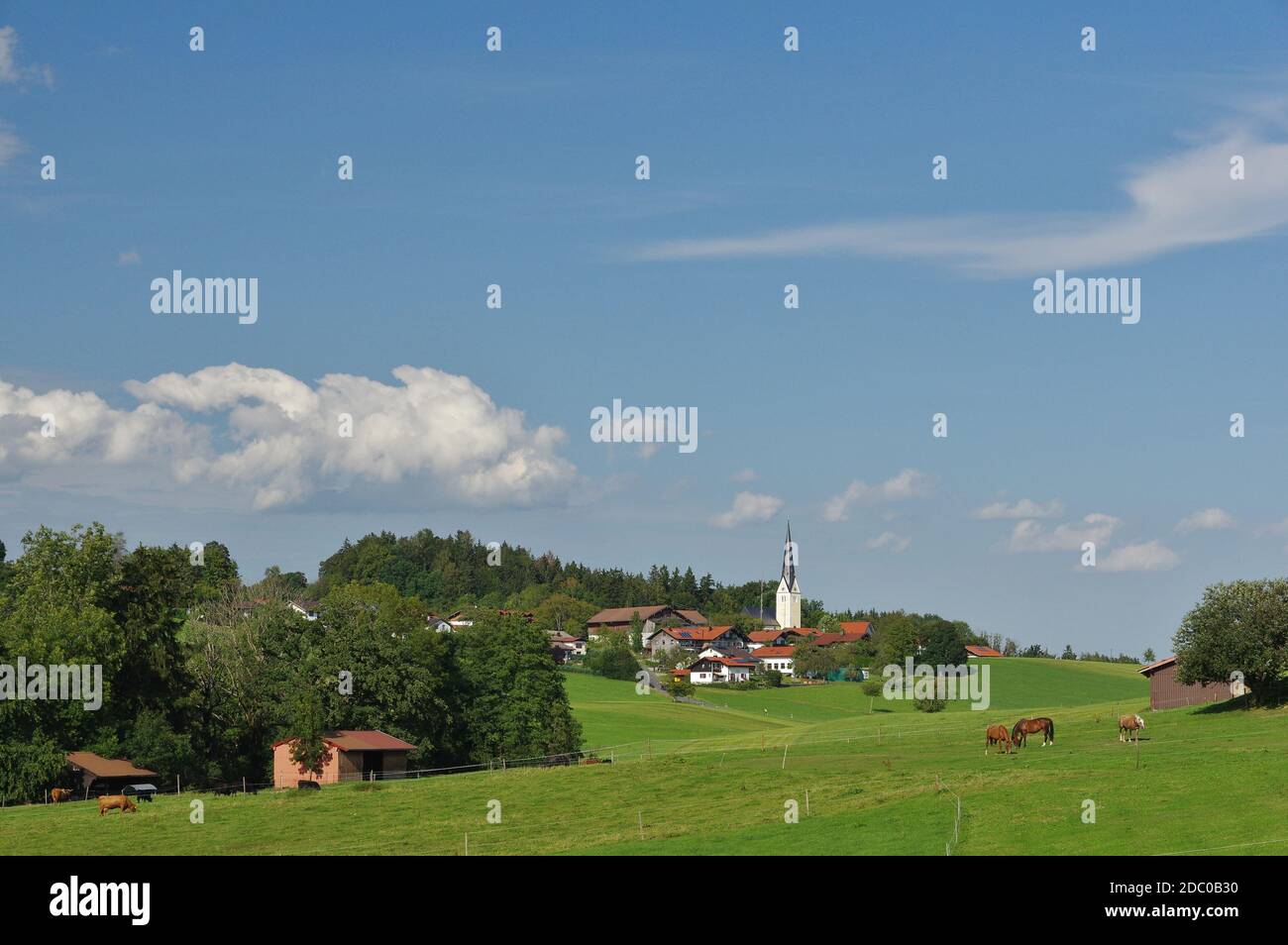 Greimharting, Chiemgau, Chiemsee, haute-Bavière, Allemagne Banque D'Images