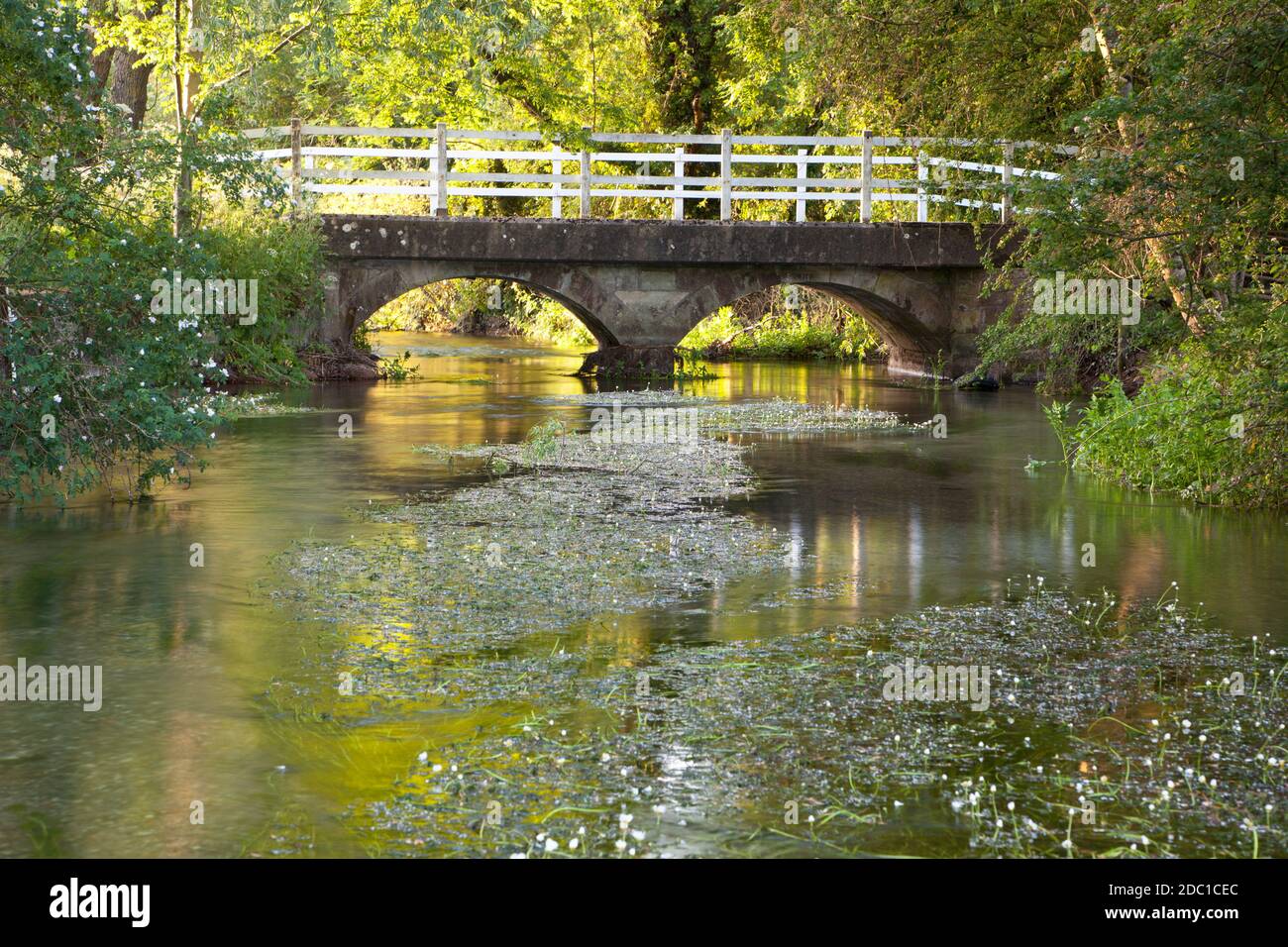 Un pont sur la rivière Ebble à Broad Chalke dans le Wiltshire. Banque D'Images