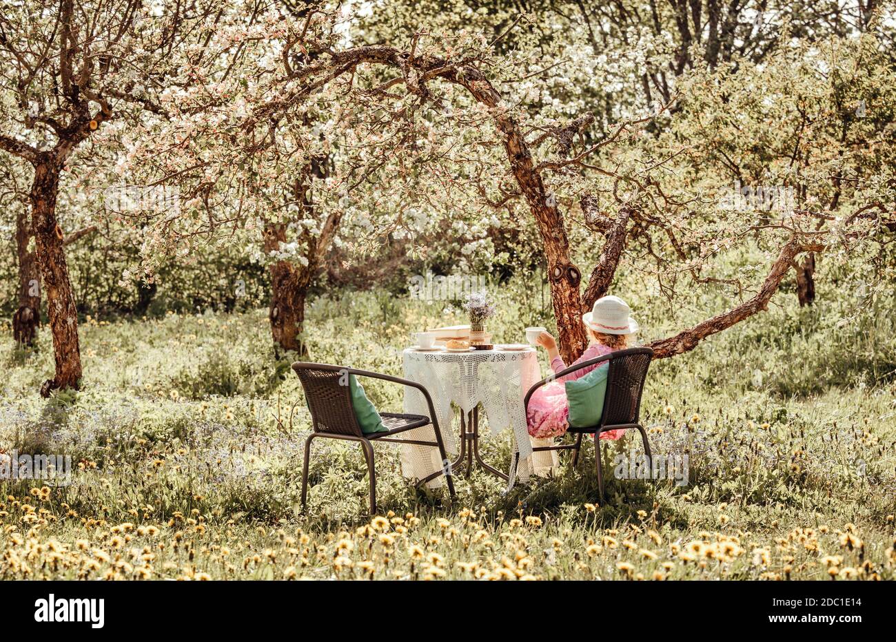 fille de 6 ans en robe d'été rose s'asseoir sur la chaise de jardin près de la table de jardin, sous les pommiers en fleurs le jour ensoleillé du printemps. Photo moderne orange chaleureux. Banque D'Images