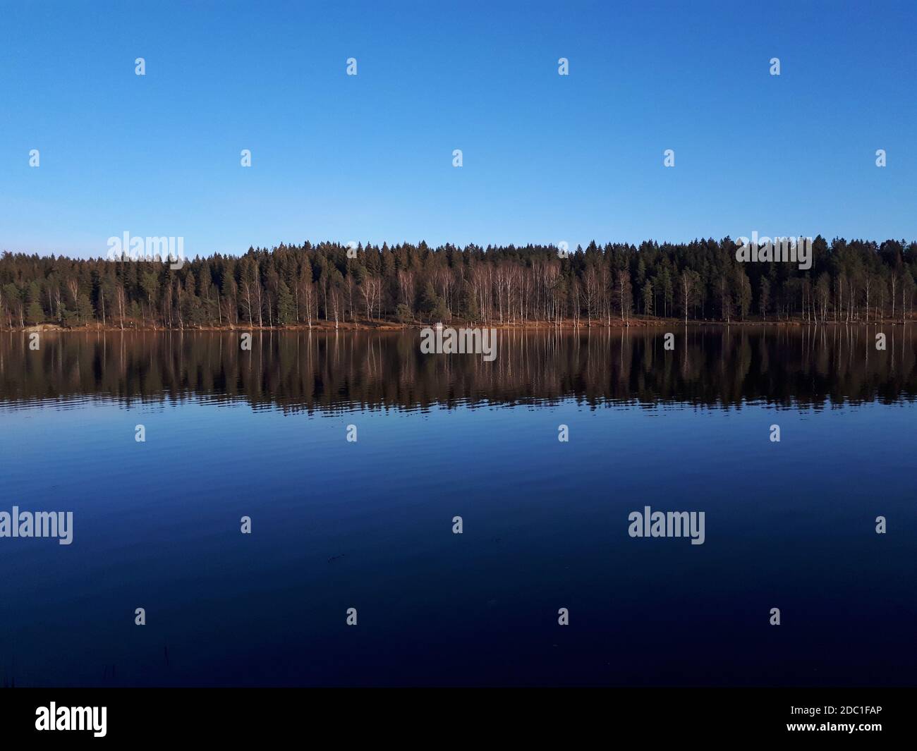 Reflet du ciel et des arbres dans l'eau bleue - Oslo, lac Sognsvann Banque D'Images