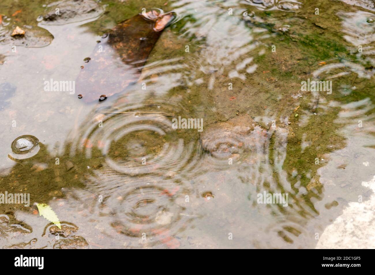 La pluie tombe à la surface de l'eau. La pluie tombe sur le sol pendant la saison des pluies. Raindrops se renverse dans une flaque avec un reflet lumineux du ciel. Résumé Na Banque D'Images