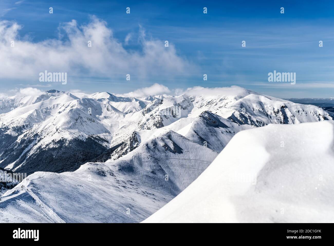 Vue de Kasprowy Wierch sur la forêt de pins avec revêtement d'hiver dans la vallée. Sommets enneigés des montagnes Tatra, Bukowina Tatrzanska, Pologne Banque D'Images