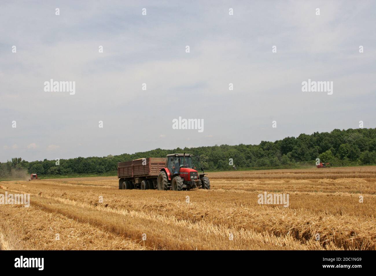 La récolte du blé de la moissonneuse-batteuse Banque D'Images