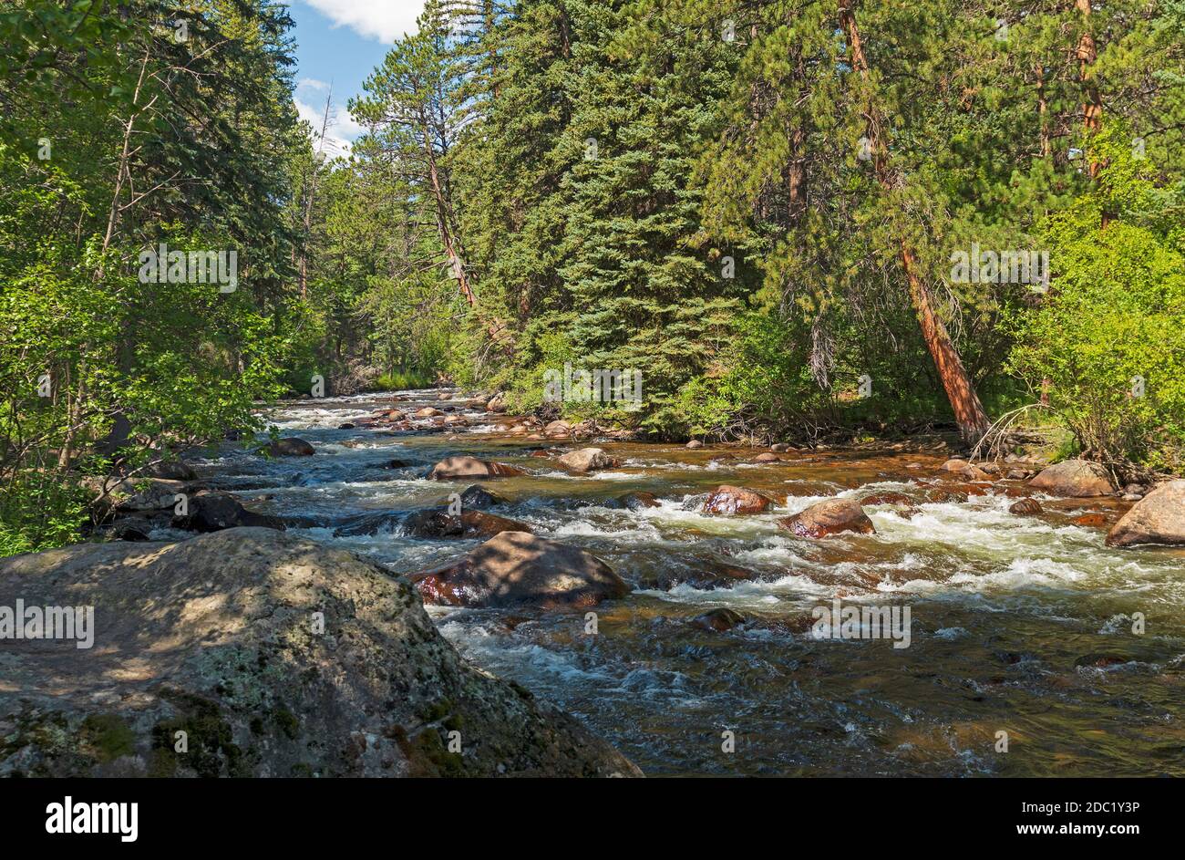 Ruisseau de montagne traversant la forêt de pins dans les montagnes Rocheuses Parc national du Colorado Banque D'Images