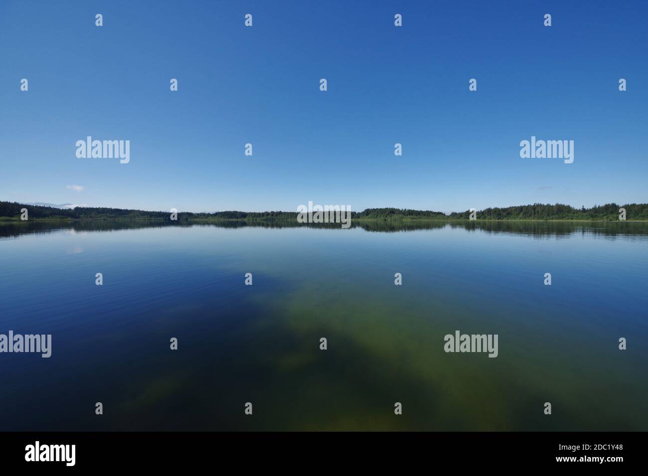 Hartsee, atmosphère matinale, 'Eggstà¤tt-Hemhofer Seenplatte', Eggstà¤tt, Chiemgau, Haute-Bavière, Allemagne Banque D'Images