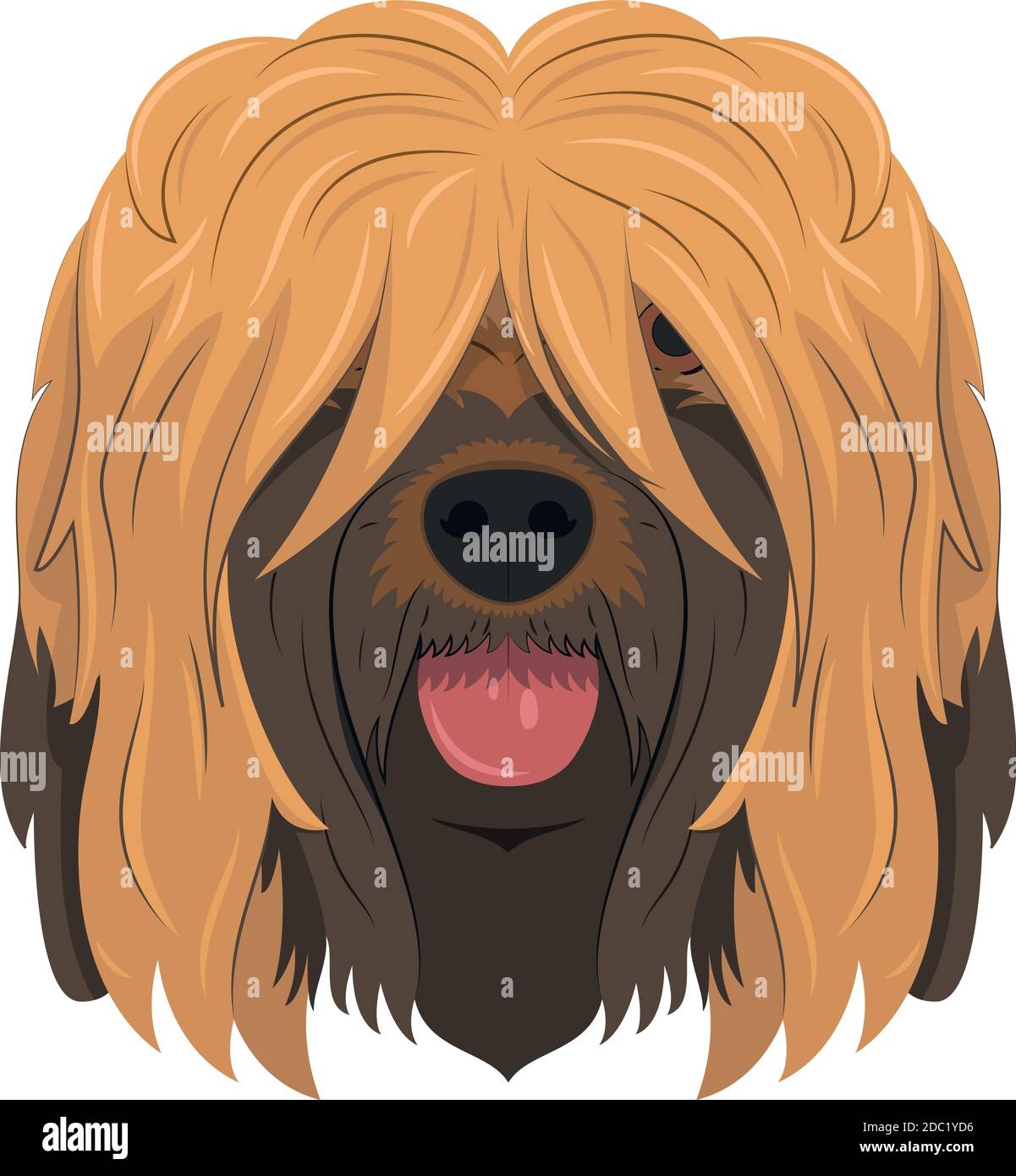 Briard ou Brie Berger chien isolé sur fond blanc vecteur illustration Illustration de Vecteur