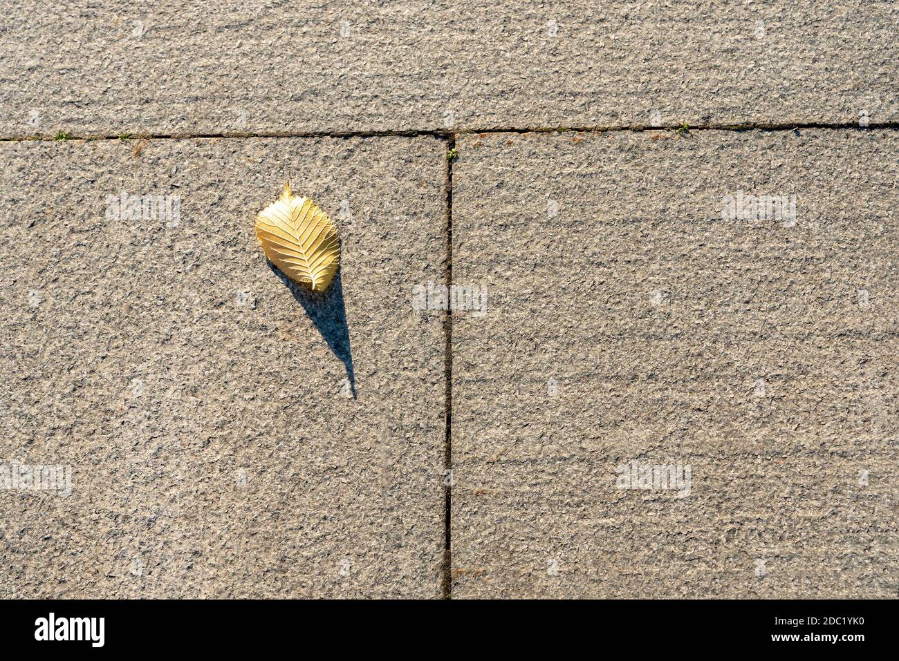 feuille jaune tombée sur le sol gris. Une feuille tombée, le seuil de l'automne. Banque D'Images