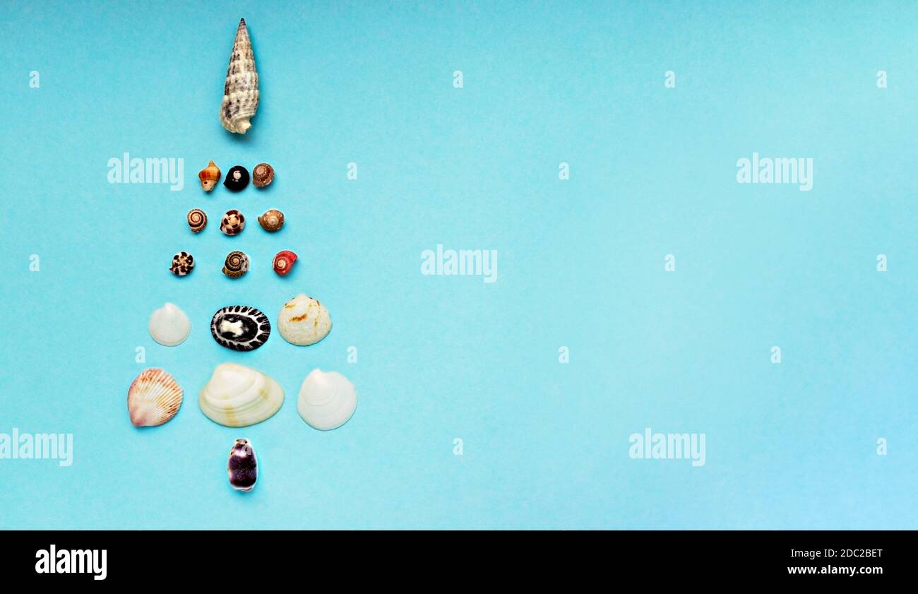 Fond de Noël avec un arbre de Noël fait de coquillages sur un fond bleu avec espace de copie. Concept de Noël tropical et du nouvel an. Minimaliste Banque D'Images