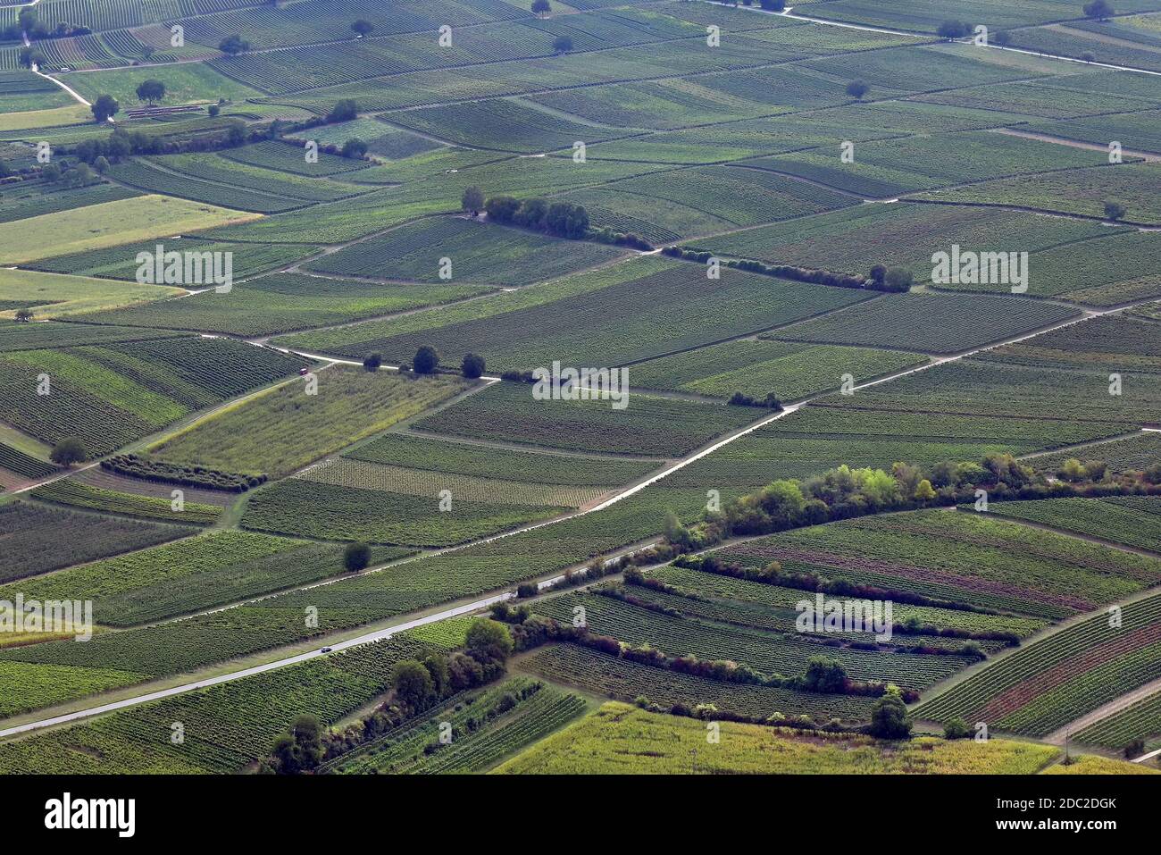 Vue panoramique sur les vignobles du sud du Palatinat Banque D'Images