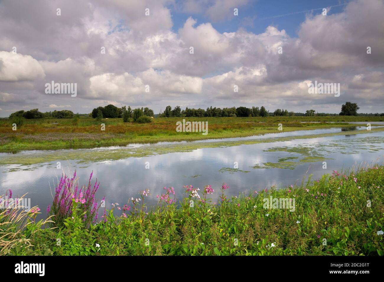 GAT van Den Kleinen Hil est une crique dans le Parc national hollandais de Biesbosch à proximité du village de Werkendam Banque D'Images