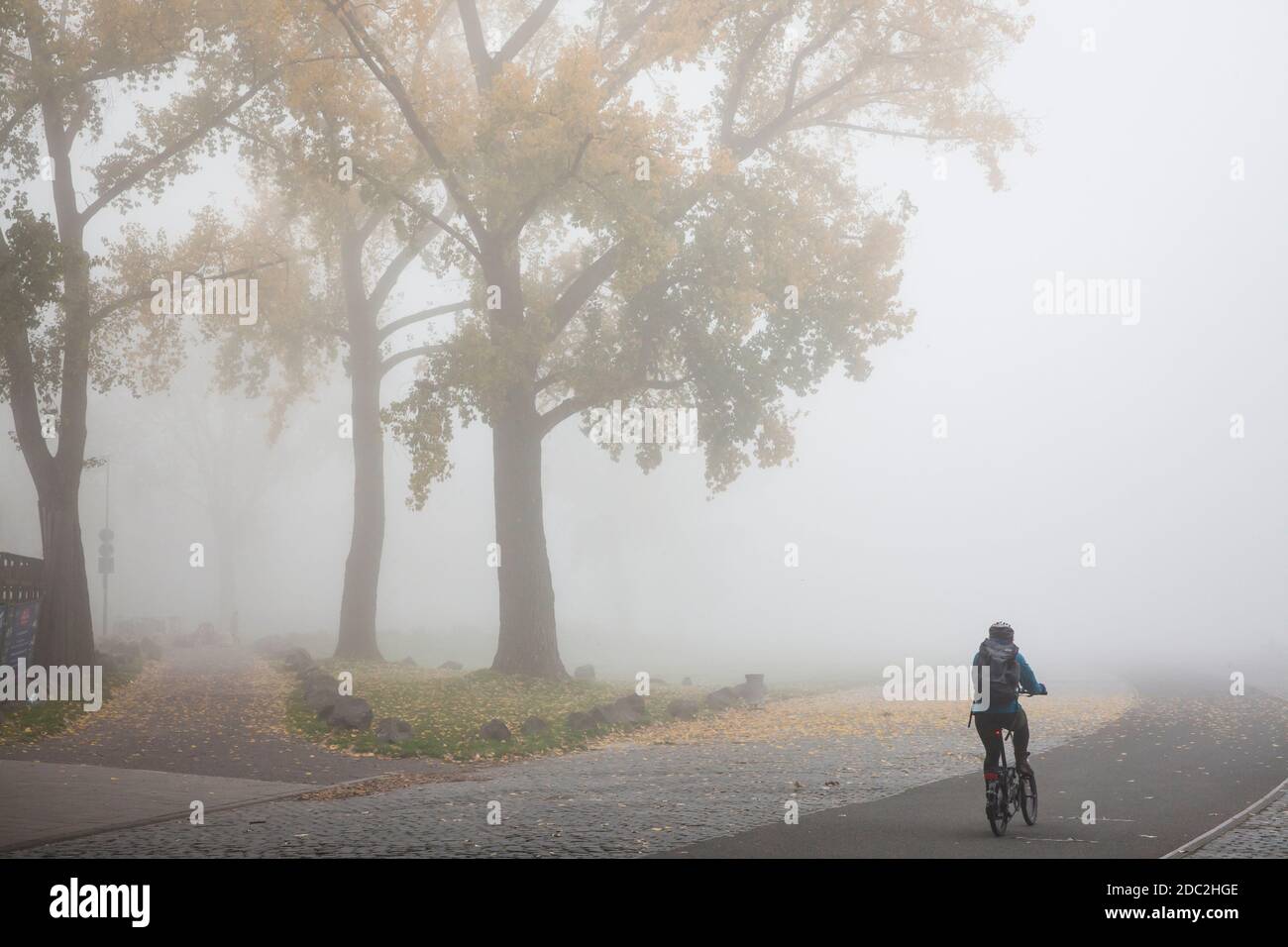 Cycliste sur les rives du Rhin dans le district de Deutz, journée d'automne brumeuse, Cologne, Allemagne. Radfahrer an der Deutzer Werft, nebeliger Herbsttag, Koe Banque D'Images