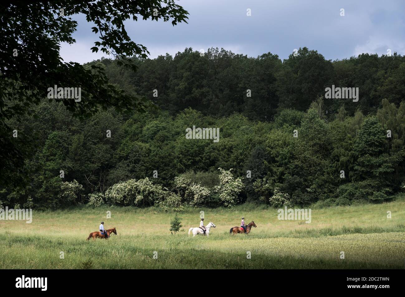 Les personnes qui voyagent à cheval à travers la campagne britannique préservée. Banque D'Images