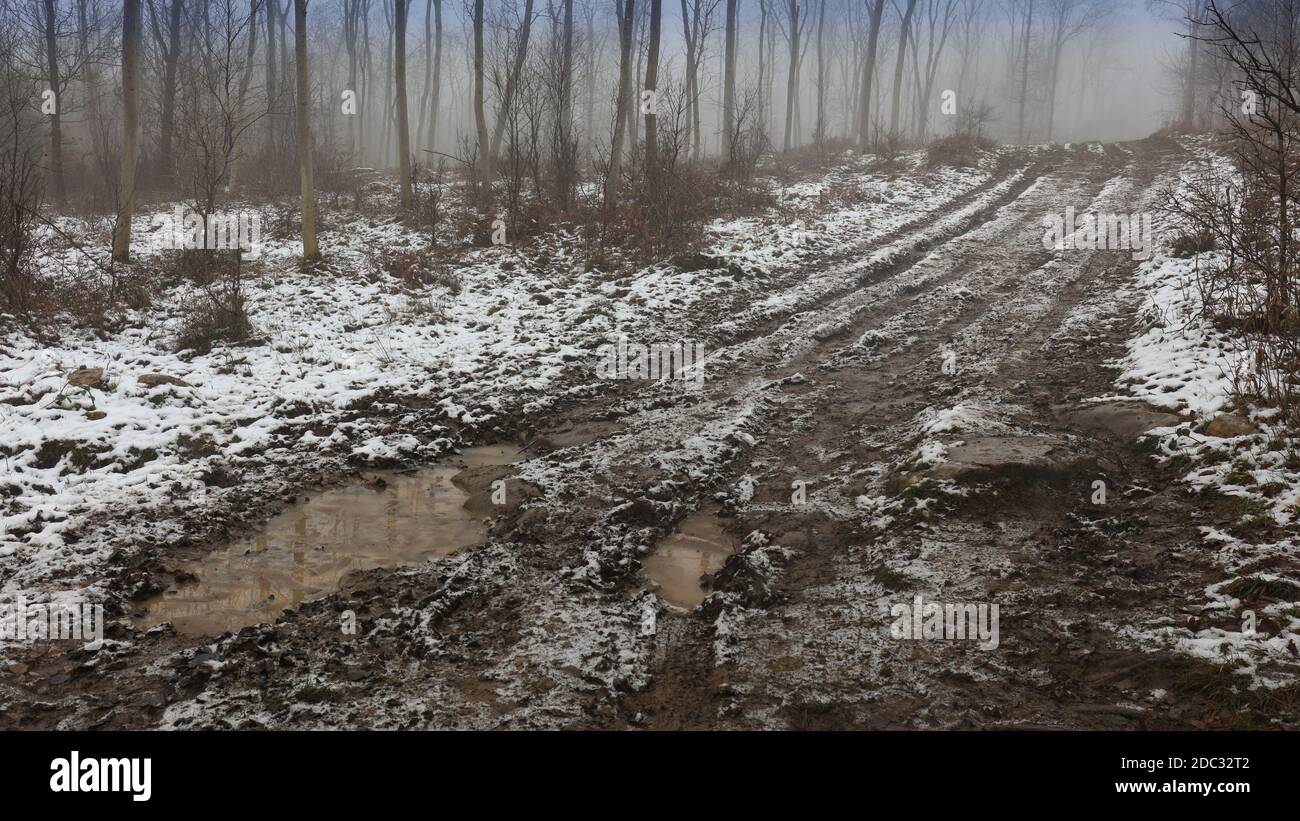 Brouillard et neige, sentier forestier boueux et rutté dans un paysage boisé d'hiver enneigé. Paysage d'hiver sombre, route de forêt boueuse menant dans la brume Banque D'Images