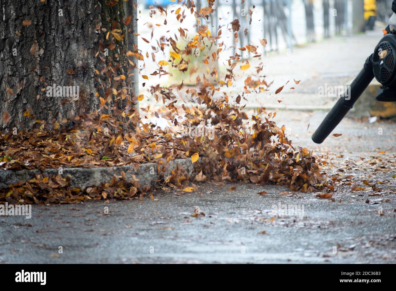 L'Italie, la Lombardie, les jardiniers avec les souffleurs de feuilles sur une route Banque D'Images