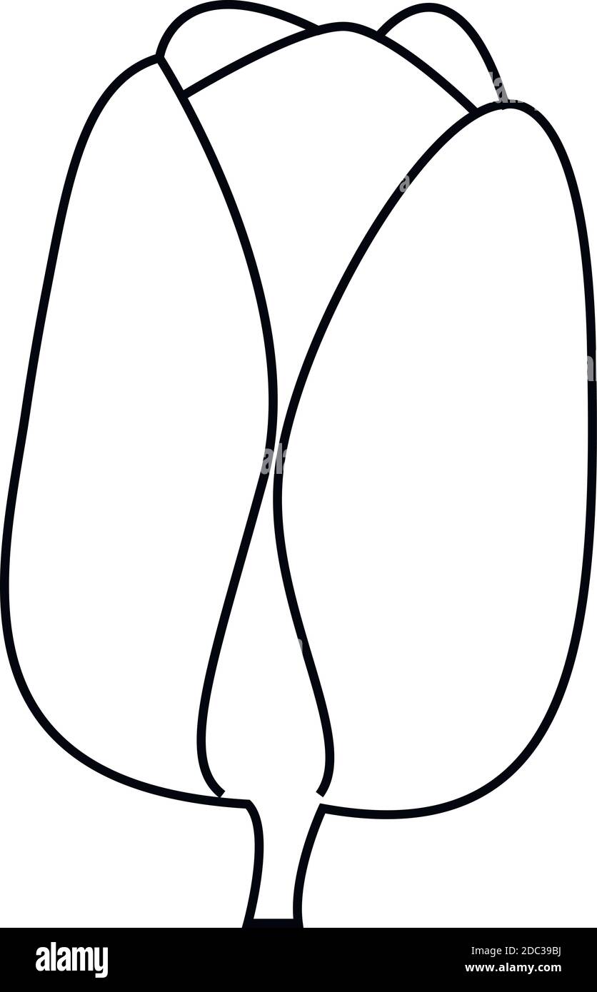 Ligne vectorielle contour noir d'une fleur de tulipe isolée sur un arrière-plan blanc Illustration de Vecteur