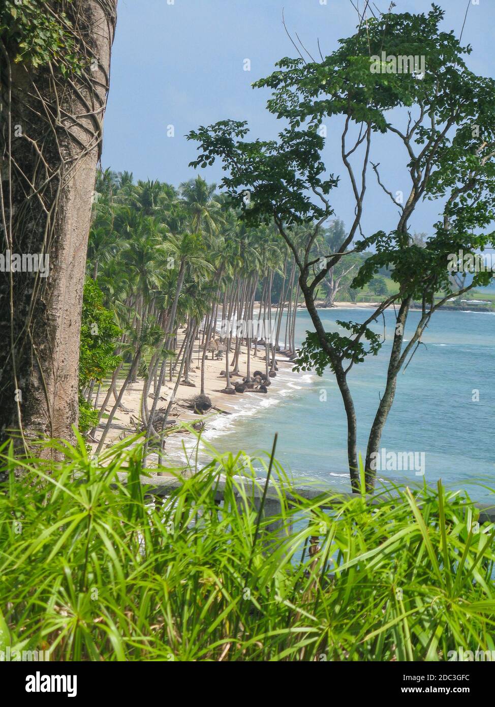 Vue sur la plage avec des cocotiers et des blancs Faire du sable à Port Blair dans les îles Andaman et Nicobar Banque D'Images