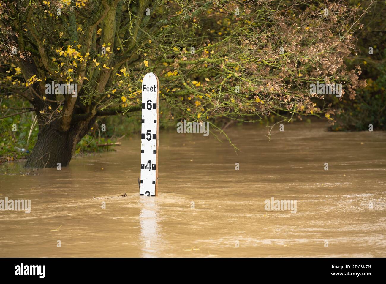 Indicateur de niveau d'eau de la jauge de la rivière dans une rivière inondée à la ford dans le Grand Hadham, Hertfordshire. ROYAUME-UNI Banque D'Images