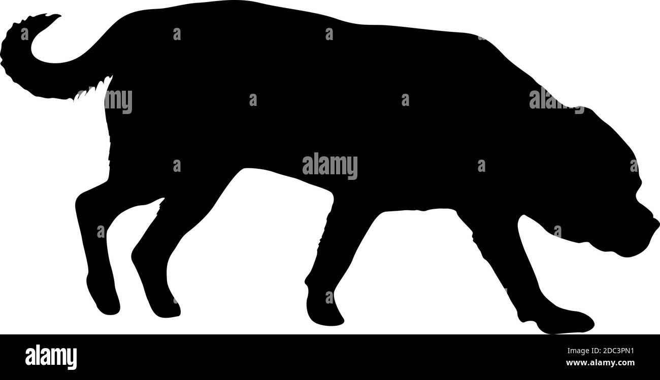 Silhouette noire de chien Labrador sur fond blanc. Illustration de Vecteur
