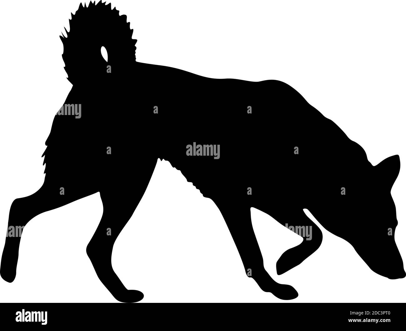 Silhouette noire de chien berger sur fond blanc. Illustration de Vecteur