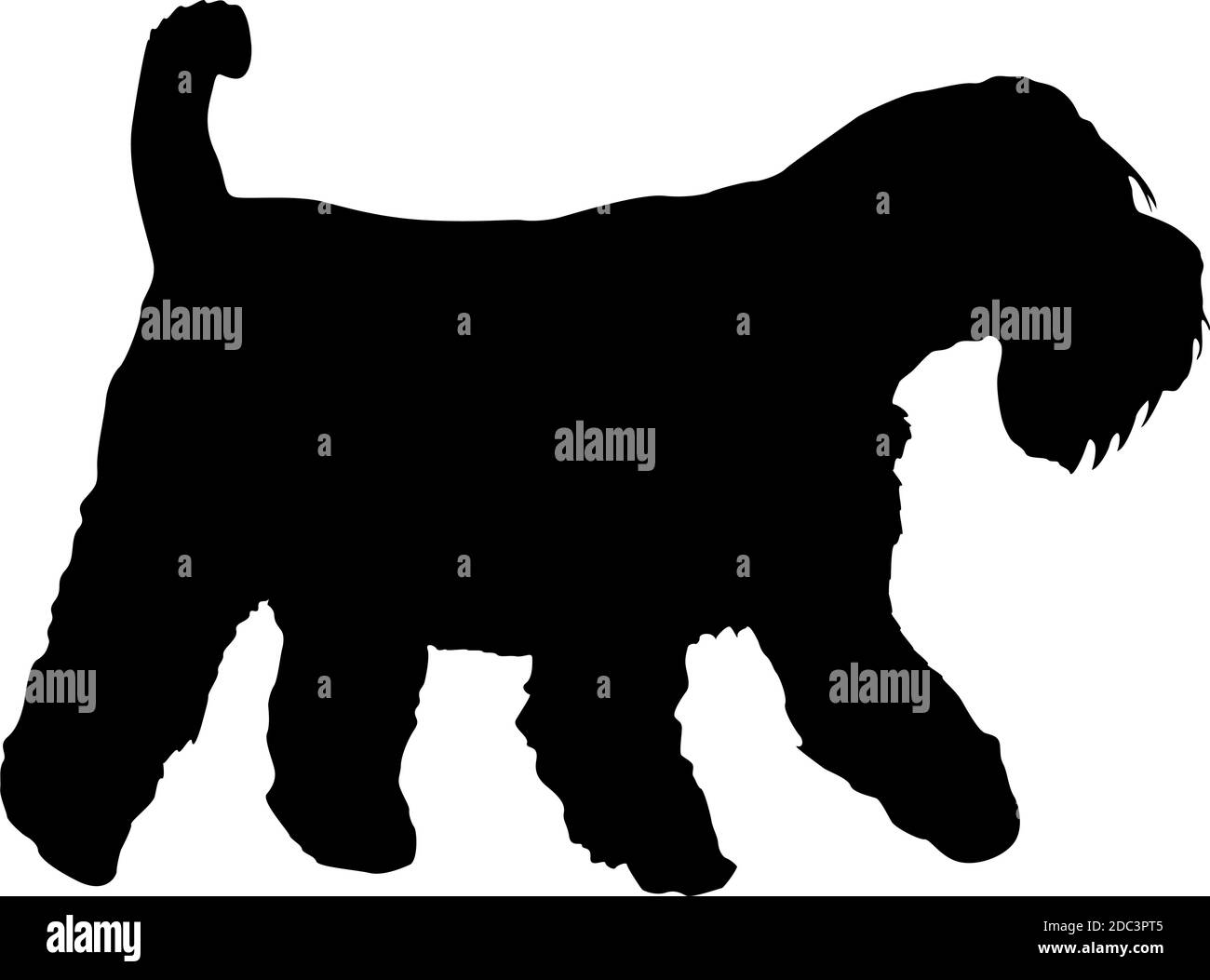 Silhouette noire de chien Airedale sur fond blanc. Illustration de Vecteur