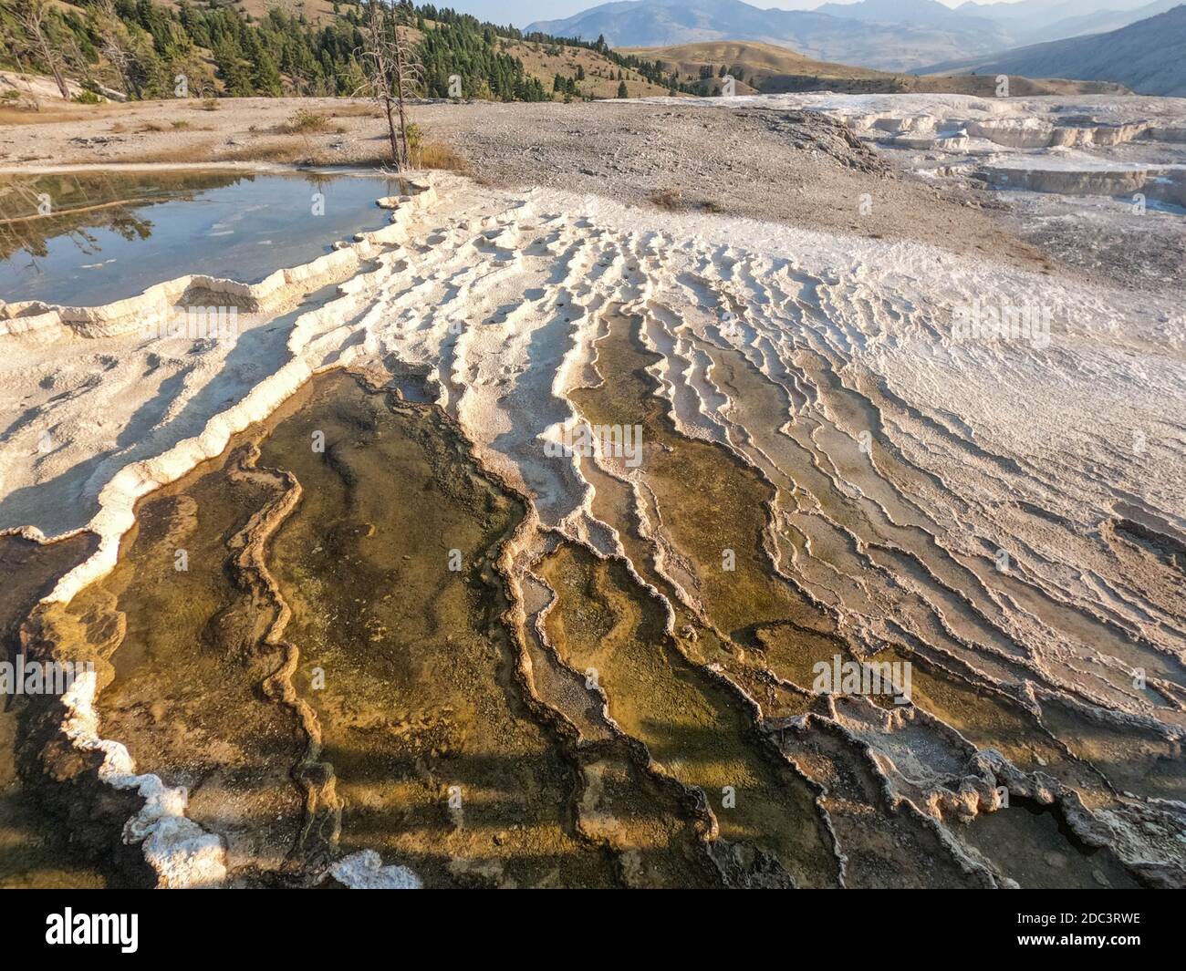 Mammoth Hot Springs, au lever du soleil, parc national de Yellowstone, Wyoming, États-Unis Banque D'Images