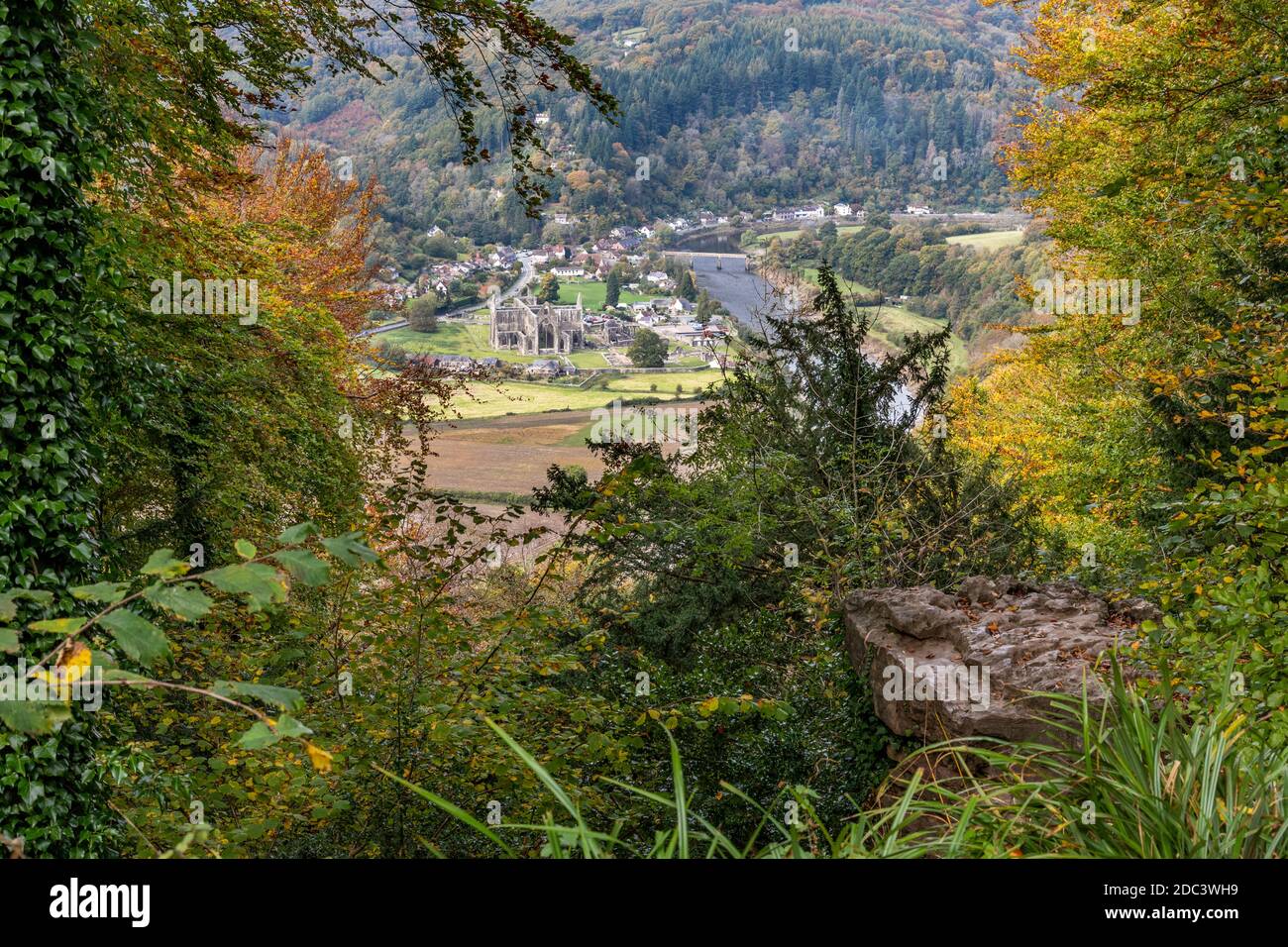 En regardant vers le bas sur l'abbaye de Tintern dans la vallée de Wye depuis le Diable's Pulpit sur Shorn Cliff, Tidenham Chase, Gloucestershire Royaume-Uni Banque D'Images