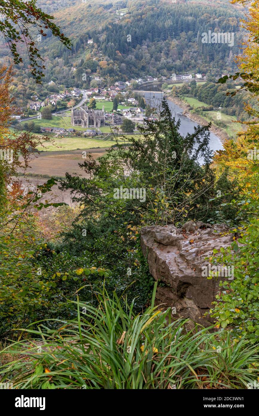 En regardant vers le bas sur l'abbaye de Tintern dans la vallée de Wye depuis le Diable's Pulpit sur Shorn Cliff, Tidenham Chase, Gloucestershire Royaume-Uni Banque D'Images