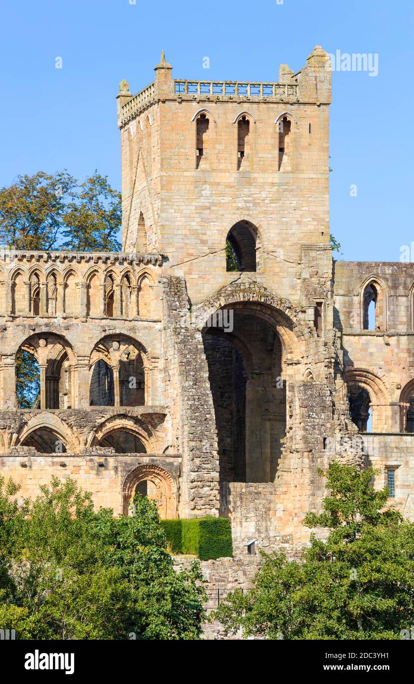 Abbaye de Jedburgh Jedburgh Écosse frontières écossaises Roxburgh, Ettrick et Lauderdale Ecosse GB Royaume-Uni Europe Banque D'Images