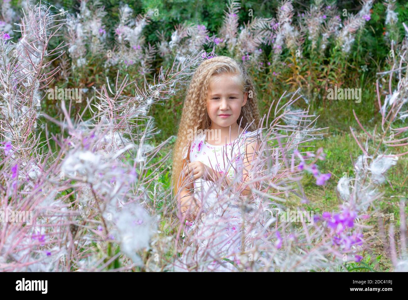 Une petite fille blonde de 5-6 ans dans une sundress blanche est entourée par Sally en fleur, la mauvaise herbe à feu. Cheveux longs blonds bouclés, coiffure. Été, na Banque D'Images