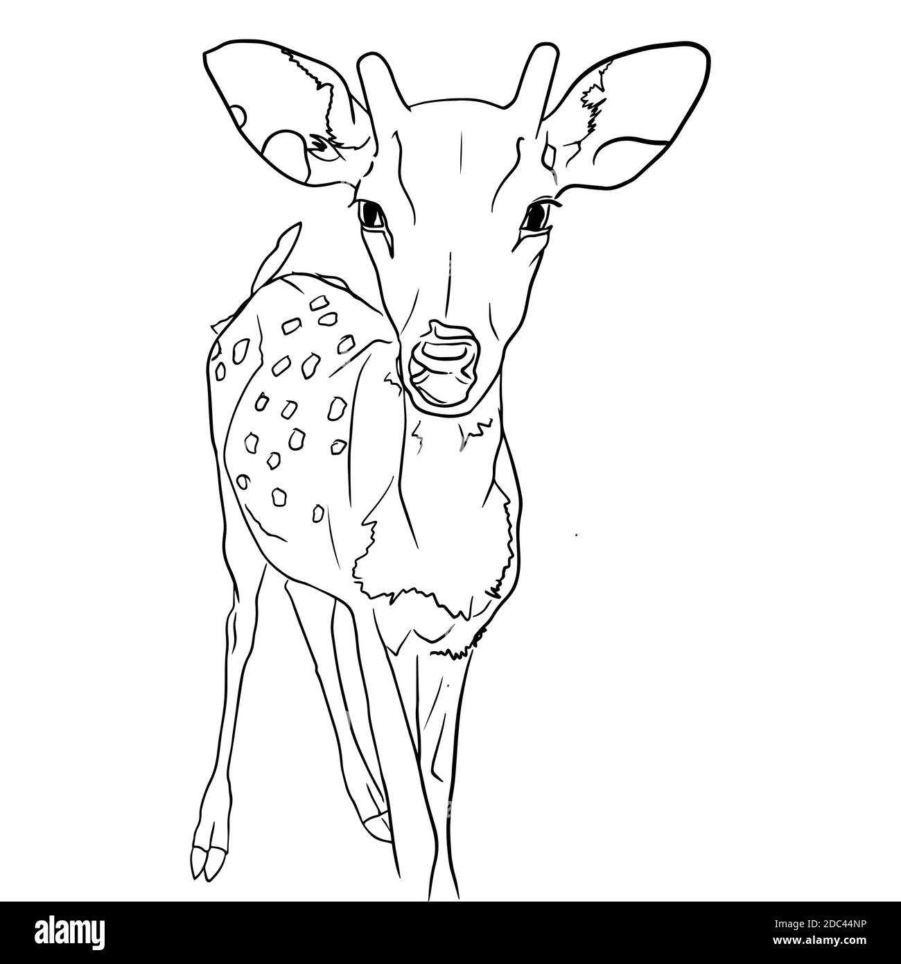 Esquisse de petits cerfs en style doodle Illustration de Vecteur