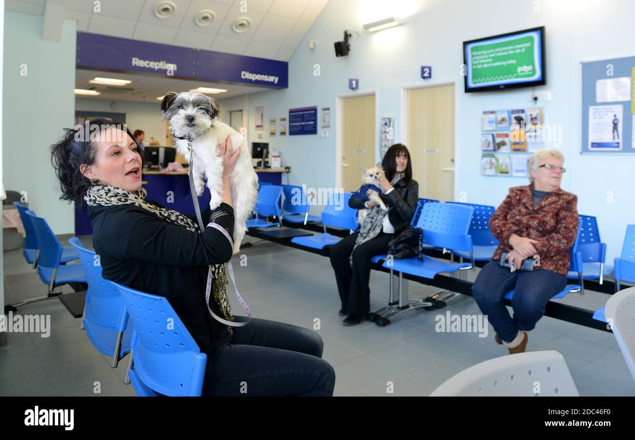 Salle d'attente de chirurgie vétérinaire PDSA Banque D'Images