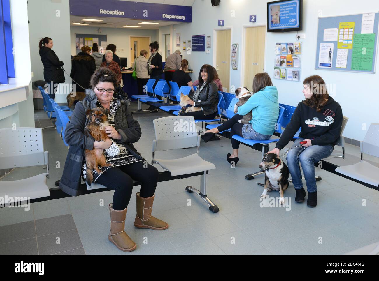 Salle d'attente de chirurgie vétérinaire PDSA Banque D'Images