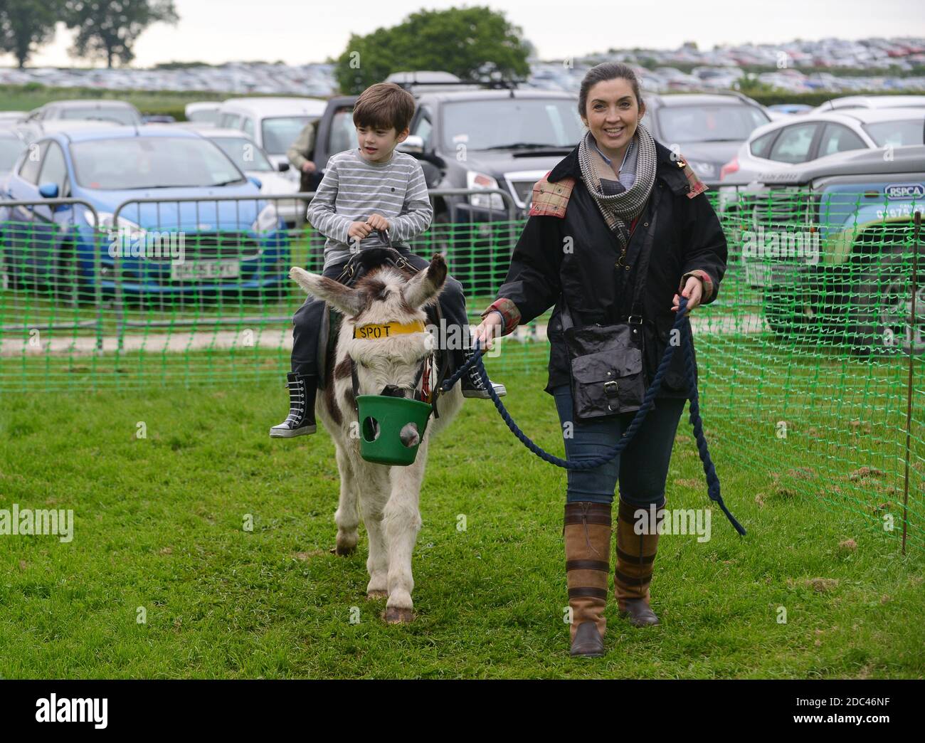 Un jeune garçon fait un tour en âne au Staffordshire County Show Banque D'Images