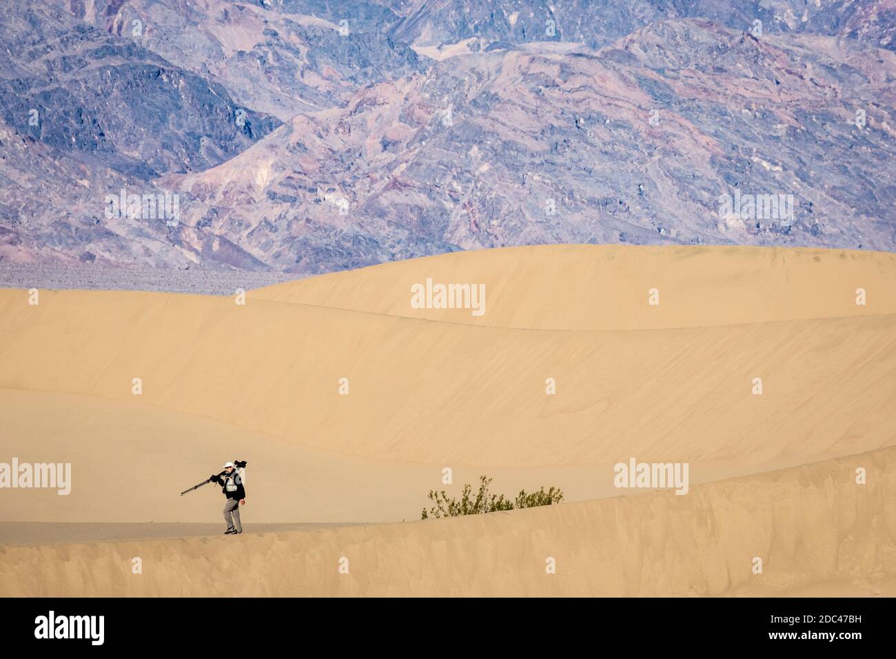 Les dunes de sable de Mesquite Flat sont une vaste zone de dunes de sable bordées de montagnes atteignant 100 pieds et un endroit de choix pour les randonneurs et les photographes. Banque D'Images